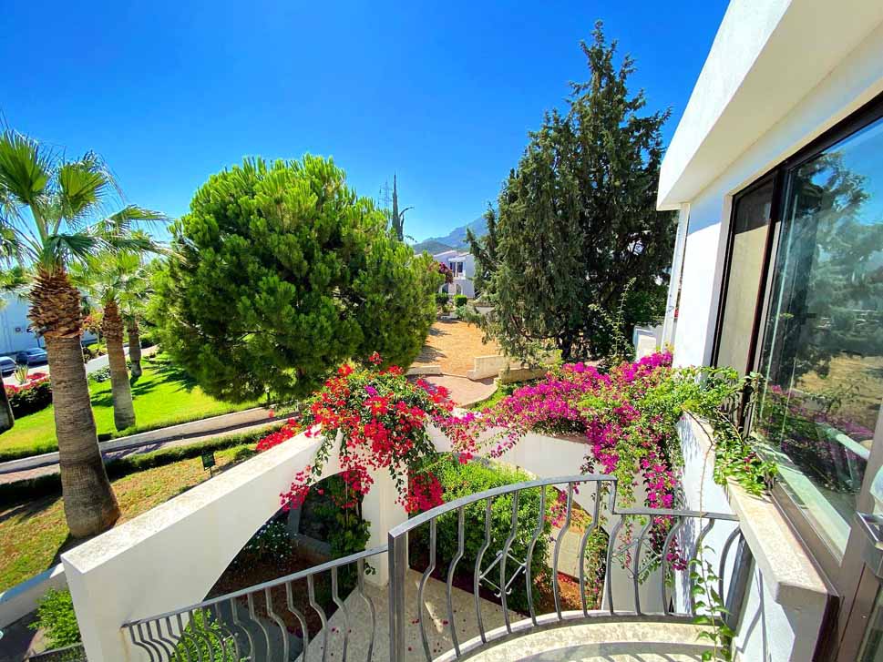 The Olive Tree Hotel