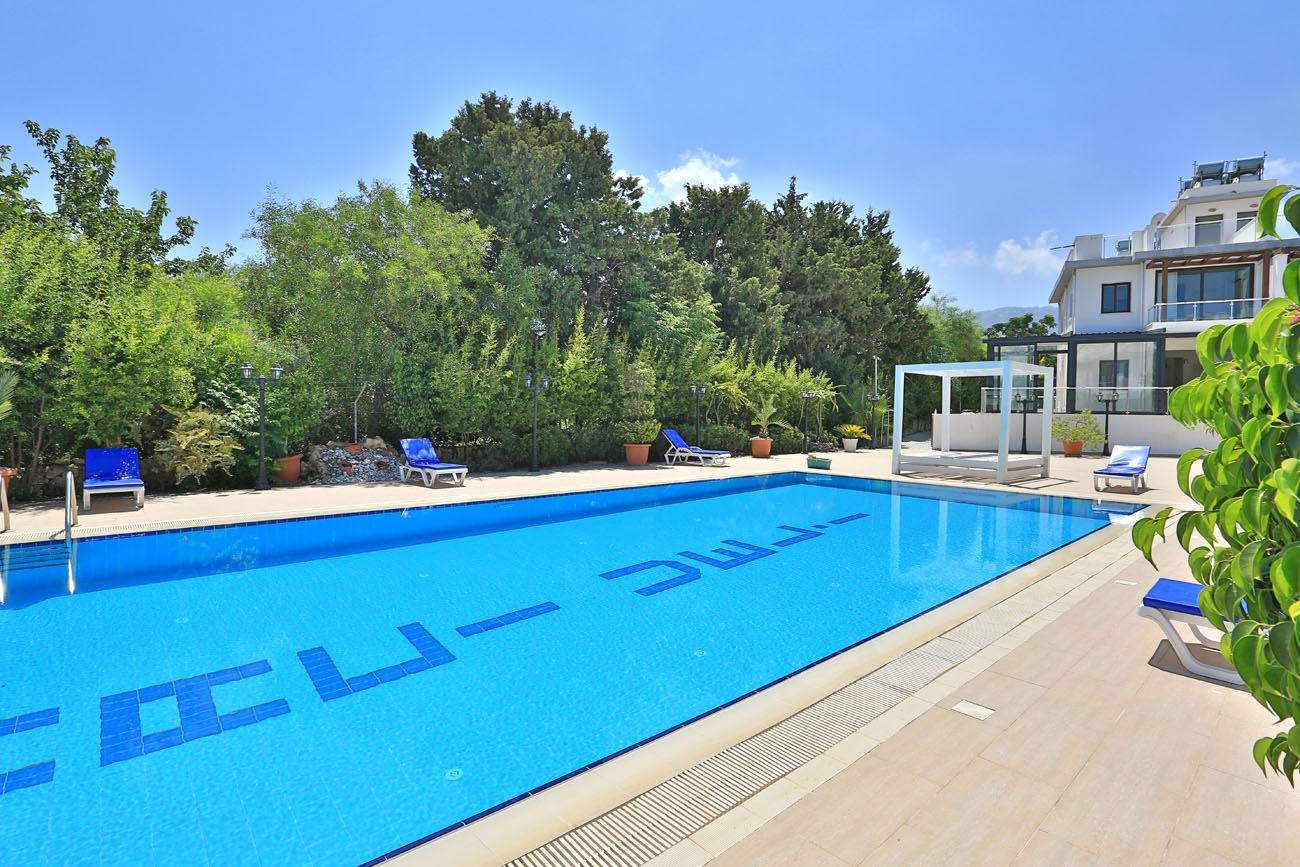 diamond hidden suites outdoor pool merit hotel