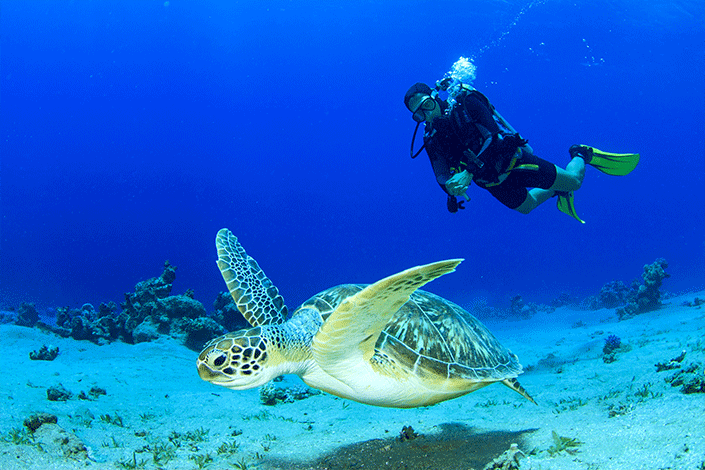 scuba-diving-tour-north-cyprus.png